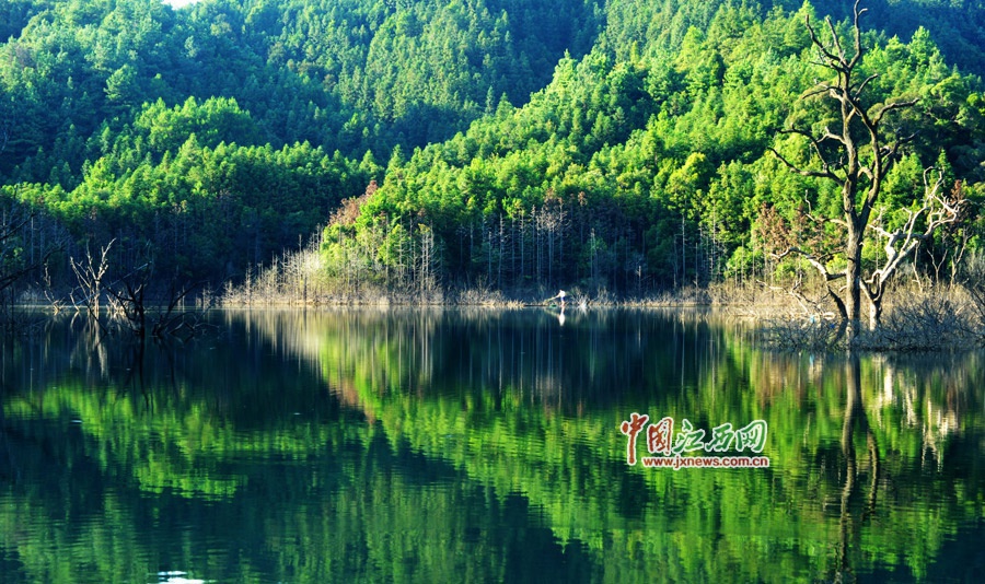 1591336388843555.jpg 11179874_247201.jpg