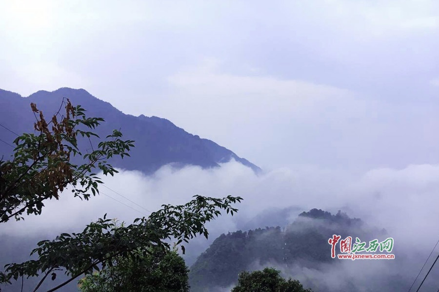 1591336487143714.jpg 11179891_863538.jpg